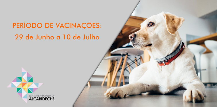 Vacinação